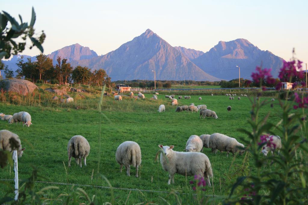 Borghildstua Feriehus Melbu Szoba fotó
